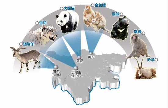 红外感应相机
