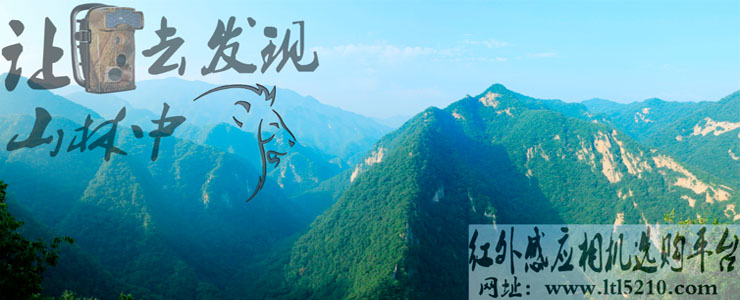 红外触发照相机