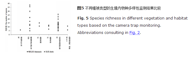 动物触发相机