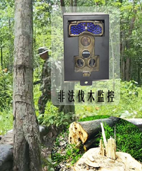 红外感应相机用于非法伐木监控