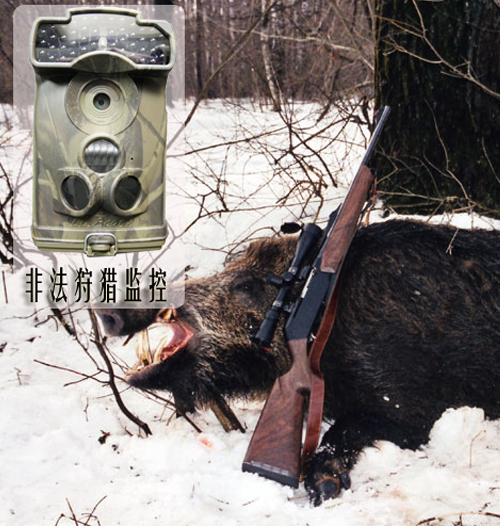 红外感应相机用于非法狩猎监控
