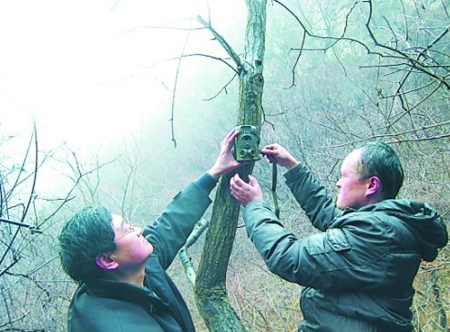 野外动物触发相机